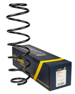 Пружина задня Laguna II (універсал) 01- (435*10,8*128) Raiso SR241TP (фото 1)