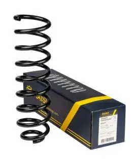 Пружина задня Scenic II 03- (373*12*103) Raiso SR245TP (фото 1)