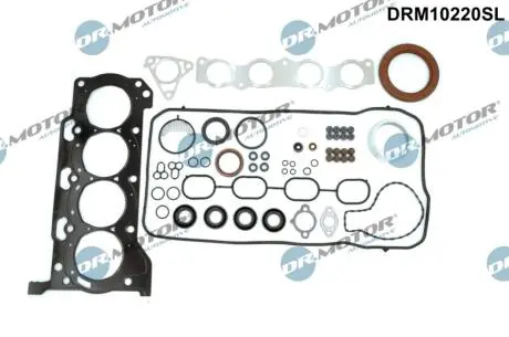 Комплект прокладок DR MOTOR DRM10220SL