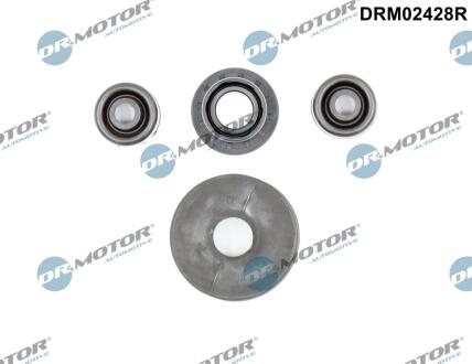 Комплект прокладок з різних матеріалів DR MOTOR DRM02428R