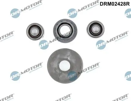 Комплект прокладок з різних матеріалів DR MOTOR DRM02428R