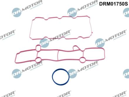 Комплект прокладок гумових DR MOTOR DRM01750S