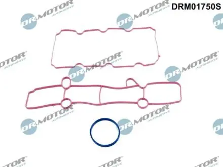 Комплект прокладок гумових DR MOTOR DRM01750S