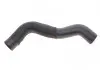Патрубок інтеркулера (нижній) (R) Fiat Ducato 2.3JTD 06- 166128