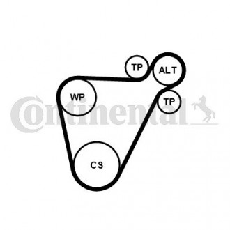 Комплект ГРМ Contitech 8PK954EXTRAK1