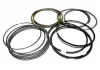 Кільця поршневі 0.25 Chery Forza Aftermarket 477F-BJ1004030BA (фото 1)