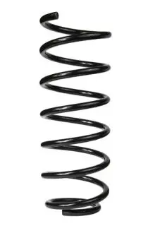 Пружина передня VW Passat B3 88-92 (372*12,6*137) Raiso SF059TP (фото 1)