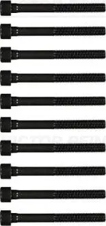Комплект болтів з головкою системи TORX з чорного металу VICTOR REINZ 14-55036-01