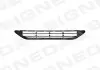 Решітка в бампер NISSAN ROGUE, 17 - PDS99149GA