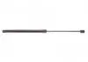 Амортизатор кришки багажника MB B-class (W245) 05-11 (R) (хетчбек) LESJOFORS 8156812 (фото 1)