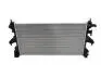 Радиатор охлаждения Citroen Jumper 2.0 HDI (14-) FT55541