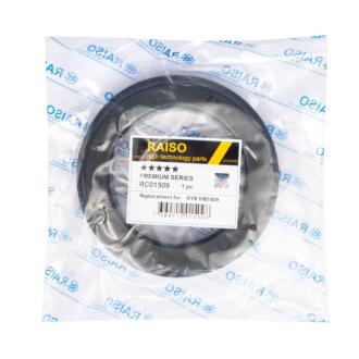 Підшипник опори амортизатора Kangoo 08- Raiso RC01509