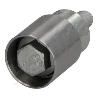 Ролик модуля натягувача ременя ASHIKA 45-00-021