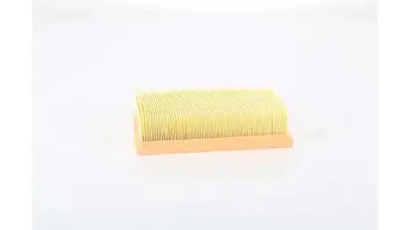 Фільтр повітряний Qashqai/X-Trail/Koleos 1.6/2.0 i/dCi 07- BSG BSG 75-135-022 (фото 1)