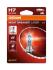 Лампочки освітлення, ксенон, LED OSRAM 64210NL-1BL (фото 1)