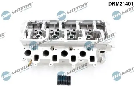 Головка блока DR MOTOR DRM21401