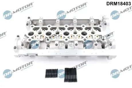 Головка блока DR MOTOR DRM18403