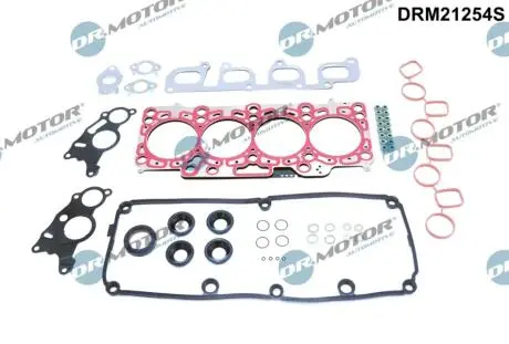 Комплект прокладок з різних матеріалів DR MOTOR DRM21254S
