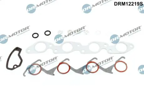 Комплект прокладок з різних матеріалів DR MOTOR DRM12219S