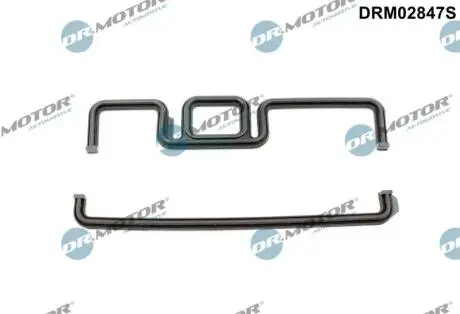 Комплект прокладок гумових DR MOTOR DRM02847S