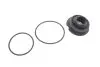 Пневмобалоны задние Porsche Cayenne \&#039;03-\&#039;10, VW Toureg \&#039;04-\&#039;10, Audi Q7 \&#039;07-\&#039;09 Arnott A-2523 (фото 7)