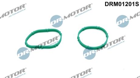 Комплект прокладок гумових DR MOTOR DRM01201S
