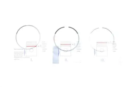 Кільця поршневі NPR 120 051 0025 00