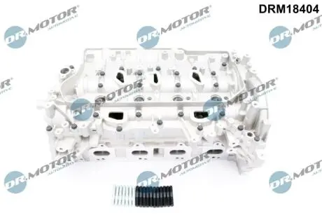 Головка блока DR MOTOR DRM18404