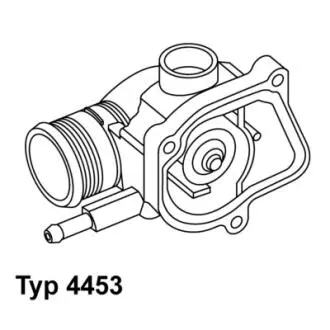 Термостат WAHLER 445387D (фото 1)