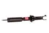 Амортизатор Honda Civic EJ9, EK3, EK1, EK4, Civic Coupe EJ6, EJ7, EJ8 1994-2001 Tashiko G41-198 (фото 3)