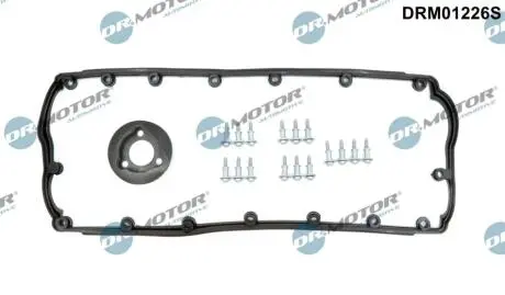 Комплект прокладок з різних матеріалів DR MOTOR DRM01226S