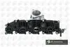 Колектор впускний VW Passat/Golf 2.0TDI 05-10 MG01010