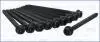 Компл. болтів ГБЦ FORD FOCUS II, III 1.5, 1.6i (10шт) (81017400) Ajusa 81017400