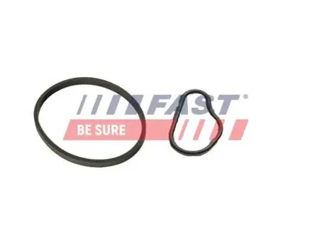 Прокладка Вакуумного Насосу CITROEN Berlingo 08- 1.6 Hdi/Bluehdi FAST FT48943