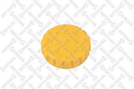 Кришка бачка розширюючого STELLOX 7551950SX