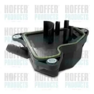 Фільтр очищення картерних газів Hoffer 8091630