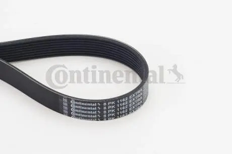 Ремінь поліклиновий Contitech 8PK1162EXTRA