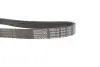 Ремінь генератора поліклиновий DAYCO 6PK1120S (фото 3)