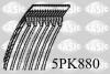 Ремінь поліклиновий 5PK880