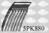Ремінь поліклиновий 5PK880