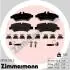 Колодки тормозные ZIMMERMANN 29190.195.2 (фото 1)