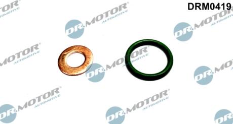 Ремкомплект форсунки DR MOTOR DRM0419