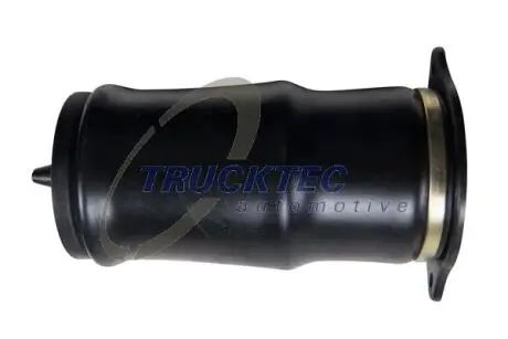 Подушка пневматическая Trucktec automotive 02.30.312 (фото 1)
