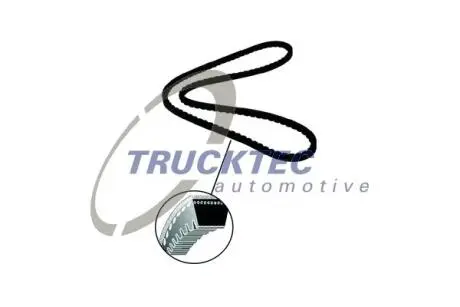 Ремень насоса ГУ Trucktec automotive 01.19.184