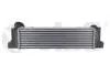 Радиатор интеркуллера BMW 3 E90, E91, E92 /X1 E84 (04-15) VIKA 11077901 (фото 1)