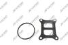 Комплект прокладок турбіни VW Golf VI 09-14, Jetta VI 10-18, Scirocco 08-17, Beetle new 98-11, Beetle 11-19; AUDI Q3 11-18 Jrone 2090-010-184 (фото 1)