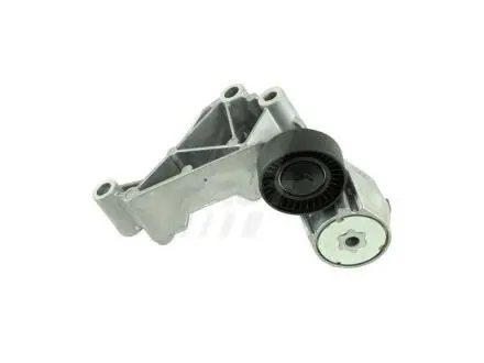 Натягувач Ременя Micro-V FORD Transit Connect 02- Кпл 1.8 Tdci FAST FT44622 (фото 1)