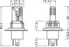 Лампочки освітлення, ксенон, LED OSRAM 64193DWESY1HB (фото 3)