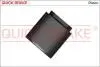 Поршень супорта (заднього) Citroen C5 01- (d=32mm) 185040K