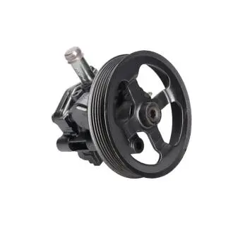 Насос ГУР відновлений Peugeot 4007 07-12, Mitsubishi Outlander XL 07-12, Citroen C-Crosser 07-12 MSG MT016R